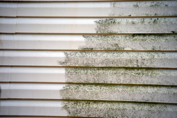 Best Carpet Removal and Disposal  in Lafayette, IN