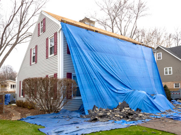 Best Yard Waste Removal  in Lafayette, IN
